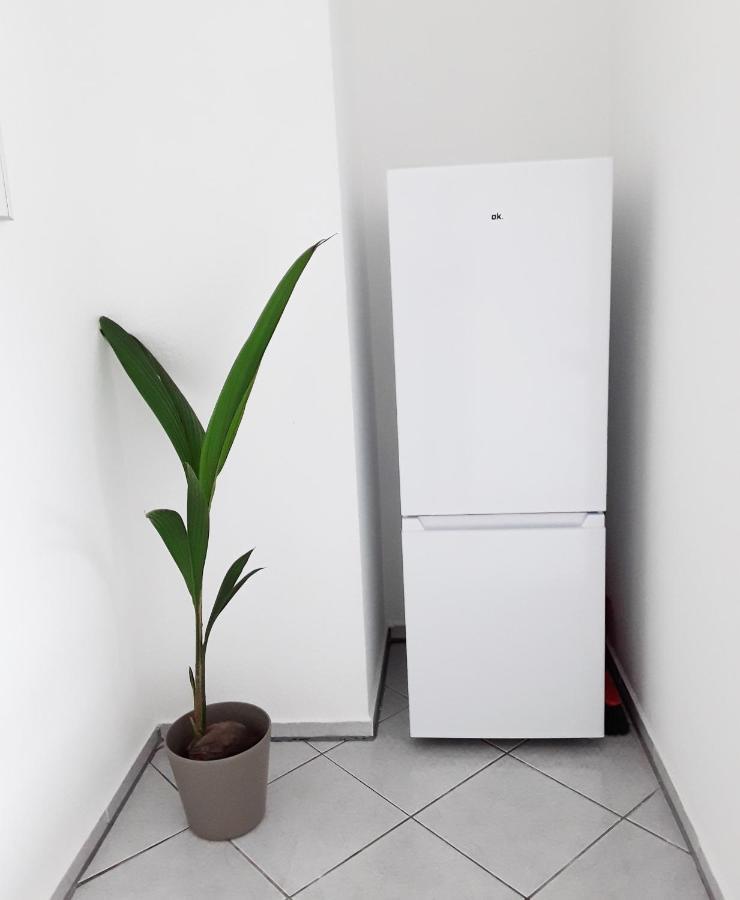 Schoene, Ruhige Zweiraumwohnung Im Angesagten Altlindenau Leipzig Exterior foto